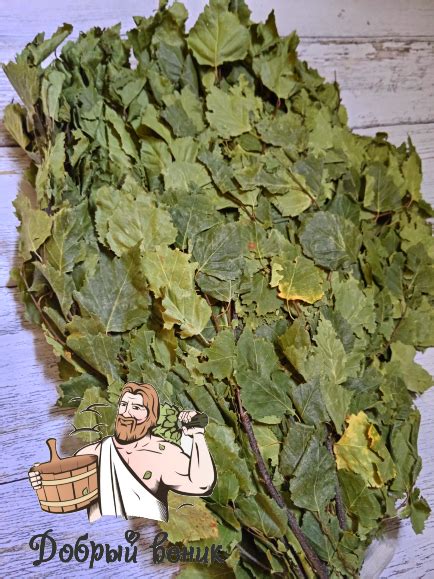 ВЕНИКИ ДЛЯ БАНИ