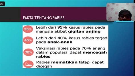 Persen Kasus Rabies Terjadi Pada Anak Anak Kenali Gejala Dan