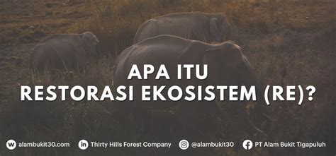 mengenal restorasi ekosistem  pt alam bukit tigapuluh