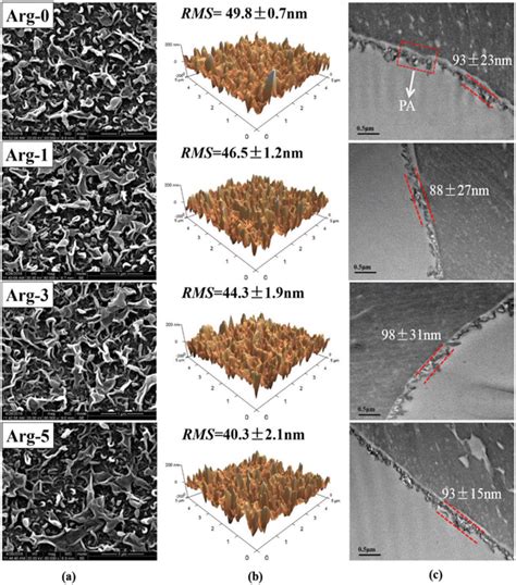 Morphologies Of The Polyamide Ro Membranes A Surface Sem Images B