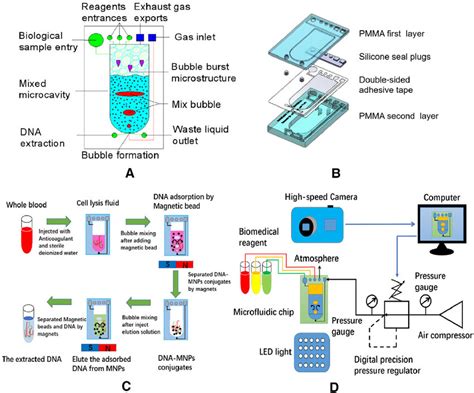 Schematic Diagram Of A Microfluidic Chip B 3D Structure Of The