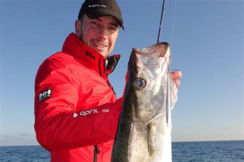 La pesca del abadejo con potera una técnica que no hay que descuidar