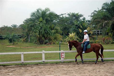 Top Horse Riding Places In Johor Bahru Perkhidmatan Perkahwinan