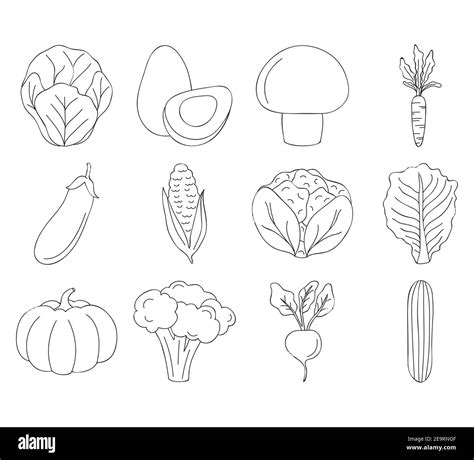 Icon Set Of Vegetables Over White Background Line Style Vector