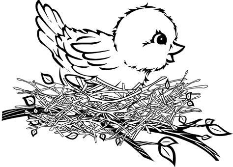 drawing birds in the nest - Clip Art Library