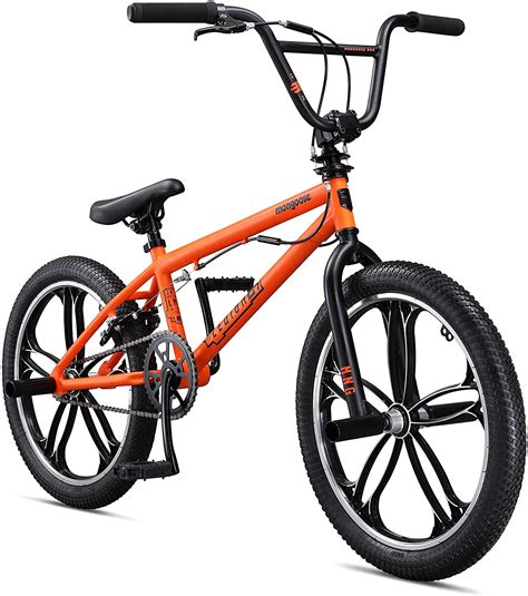 Best Bmx Bikes For Beginners Review For