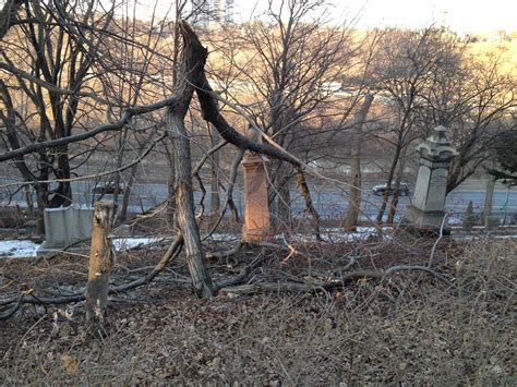 Toronto necropolis tours reveal the fascinating history of the city 27