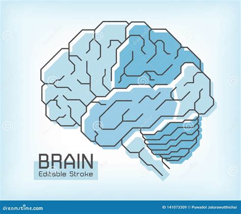 Brain Anatomy And Outline Stroke Frontal Parietal Temporal Occipital