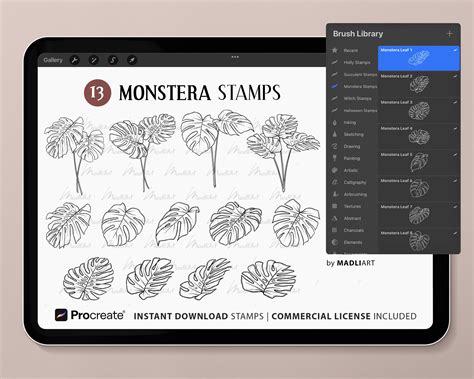 Monstera Leaf Procreate Stamps Tropical Leaves Design Cuts