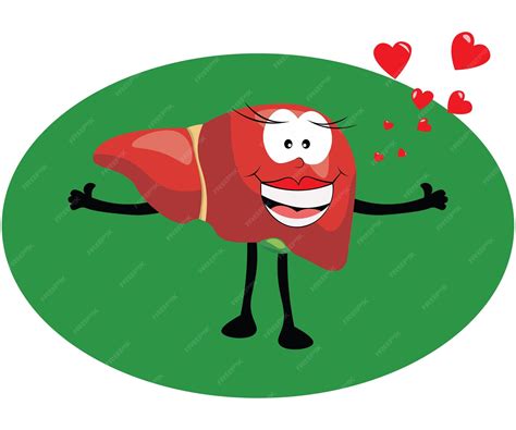 Premium Vector | Healthy liver