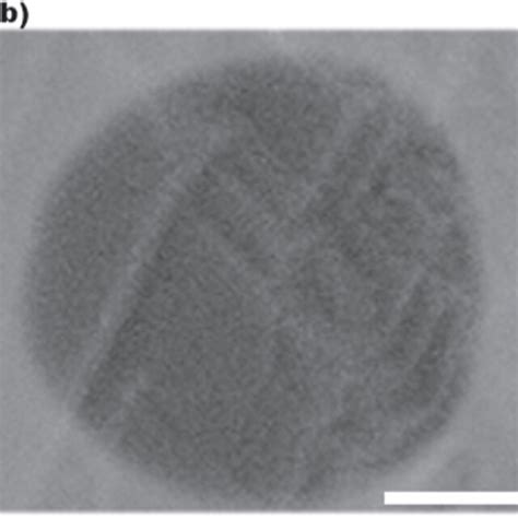 Sem Images Of Freestanding Graphene Films Transferred By Two Methods