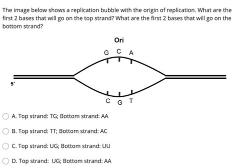 Solved The image below shows a replication bubble with the | Chegg.com 