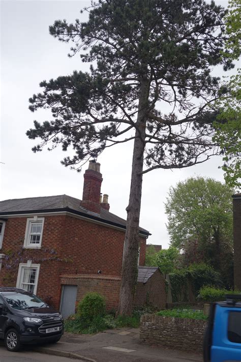 Walk 167: Brixworth Village Walk | northamptonshirewalks