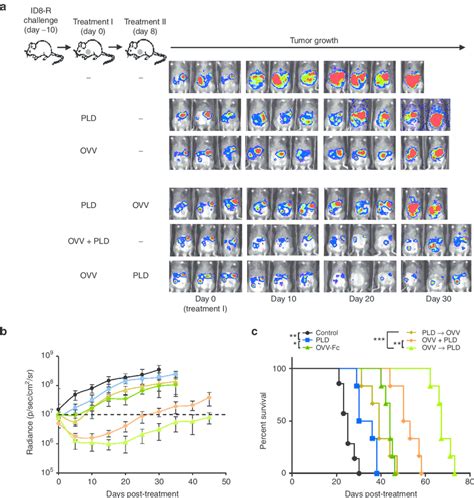 Efficacy Of Oncolytic Virotherapy And Pld Treatment Used Alone And In