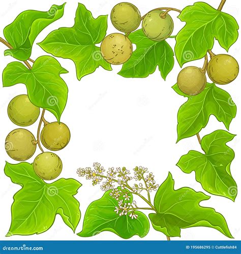 state tree for hawaii 4
