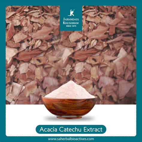 Acacia Catechu Extract - SA Herbal Bioactives