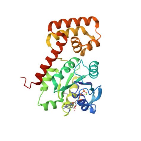 RCSB PDB 3LX5 Crystal Structure Of MGMPPNP Bound NFeoB From S