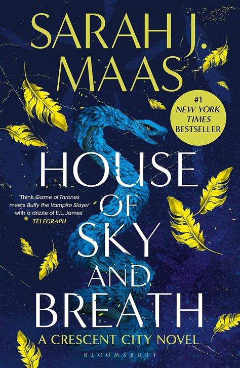 House Of Sky And Breath Crescent City Book Maas Sarah J