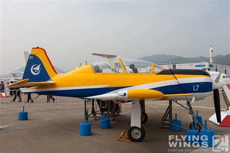 Zhuhai Airshow 2010 Flying