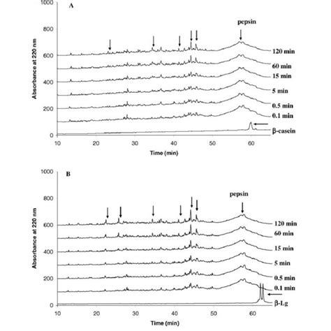 Rp Hplc Analysis Of B Casein A And B Lg B Time Point Samples