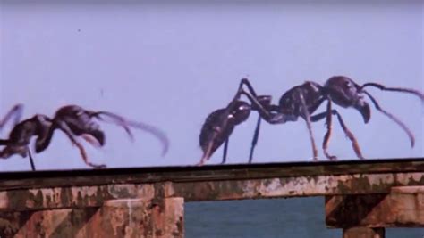 Empire Of The Ants Movie