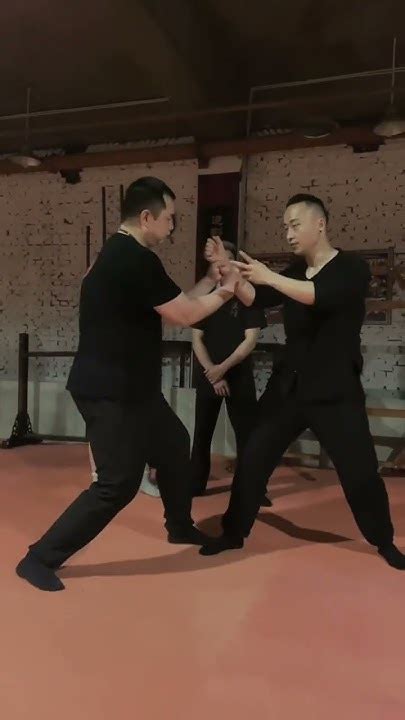 詠春沉腕 Wing Chun Kungfu Chinesemartialarts Martialarts Wingchun 功夫