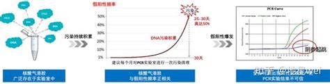 Pcr假阳性是什么？怎么清除？ 知乎