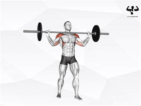 Barbell Shoulder Press How To Benefits FitDominium