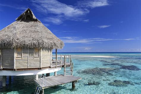 10 Best Dive Resorts In French Polynesia - Updated 2024 | Trip101