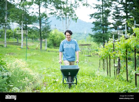 Farming Mature Man Stock Photo Alamy