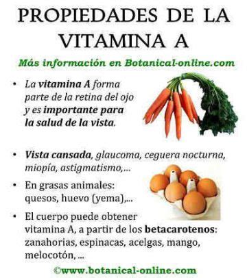 Propiedades De La Vitamina A Botanical Online