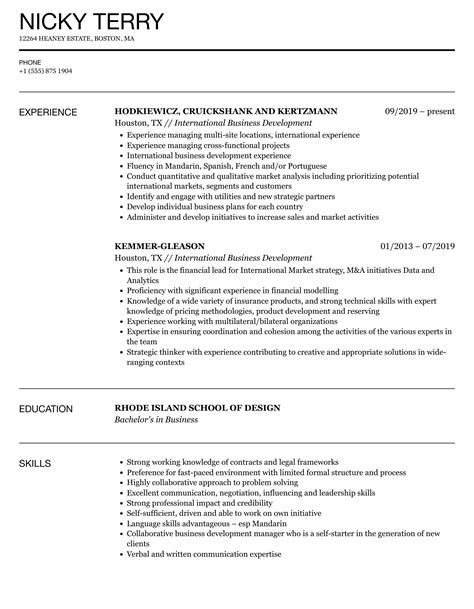 International Business Development Resume Samples Velvet Jobs