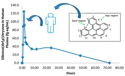 How Humans Metabolize Pahs The Superfund Research Center Oregon State University