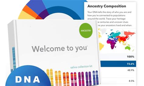 Tips For Choosing A Dna Test Kit Online Tasteful Space