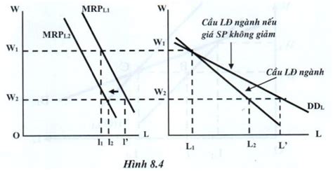 Bài 1 Thị Trường Lao động