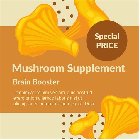 Best Mushroom Supplement For Brain - RYZE Superfoods