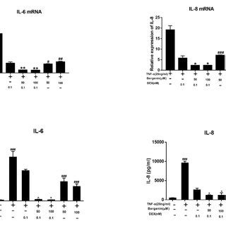 Effects Of Bergenin On TNF Induced Expression Of Pro Inflammatory