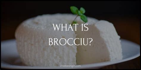 What is Brocciu? The Symbolic Cheese of Corsica