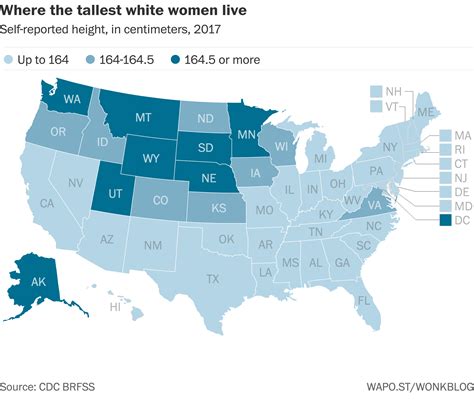 Us Male Average Size