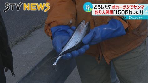 【入れ食い状態】オホーツク海沿岸に大量のサンマ 釣り人は歓喜 不漁続きなのになぜ？ Youtube