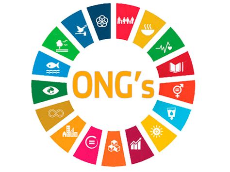 la cooperacion internacional  las ongs poderobrero