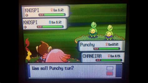 WSHC 2018 19 18 Shiny Budew After 3k RE In Pearl YouTube