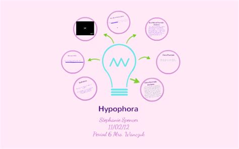 Hypophora by Stephanie Spencer on Prezi