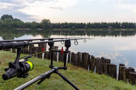 Técnicas de pesca em água doce do arremesso à fisgada perfeita Sua Isca