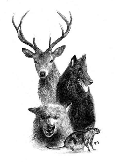 Awsome Drawing Of The Four Marauders Prongs Padfoot Moony And