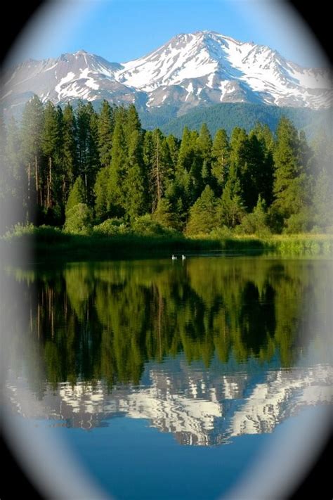 Taken From The Heart Majestic Gorgeous View Of Mt Shasta And Siskiyou