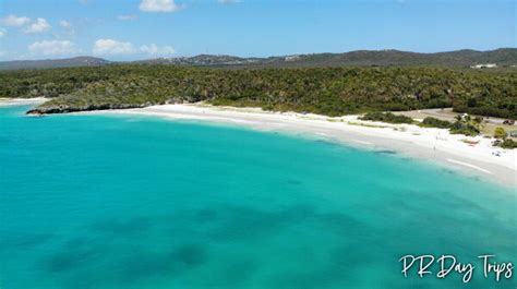 Playa Caracas Red Beach Vieques Prdaytrips