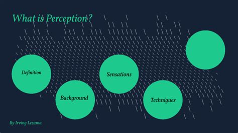 What Is Perception By Irving Carrasco On Prezi