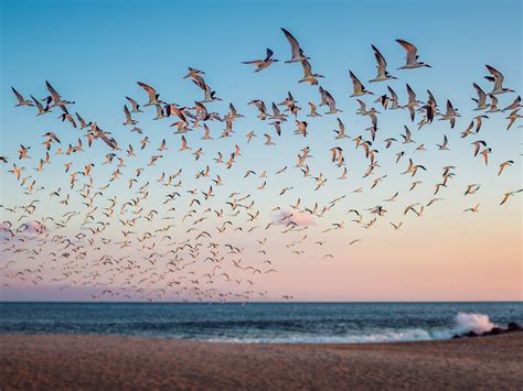 The 11 Best Beaches in New Jersey - Photos - Condé Nast Traveler