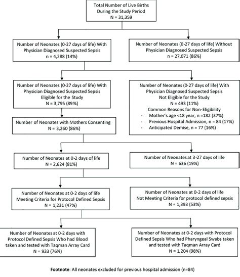 Pathophysiology Of Sepsis Neonatorum